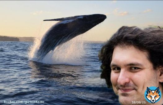 Loose lips sink ships. Wouldn't be surprised if Sam Bankman-Fried got popped because he said too much on his Twitter Space interview with @unusual_whales regarding the trading of tokenised $AMC stocks #AMC