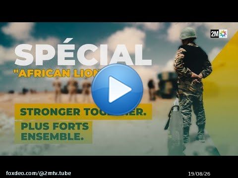 Sp&eacute;cial African Lion: 'Stronger Together. Plus forts ensemble'