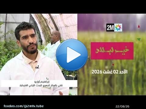 خير لبلاد : الأحد 02 غشت 2026