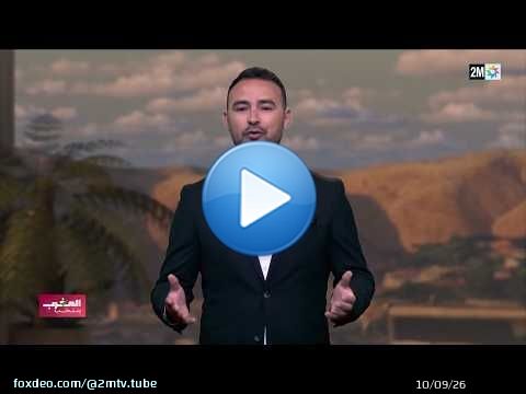 لماذا نصوّت ؟