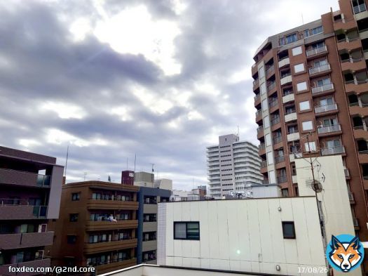 おはようございます！！！ 東京の天気は曇りです  【希望】本命チョコ、義理チョコ、友チョコ、チョコレートの種類は問いません 【お返し】ホワイトデーにピエールエルメのマカロンをお返し  本日もよろしくお願いします。  #HappyValentine #企業公式が毎朝地元の天気を言い合う #おは戦50214fk