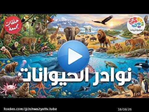 نوادر الحيوانات | حلقات مجمعة