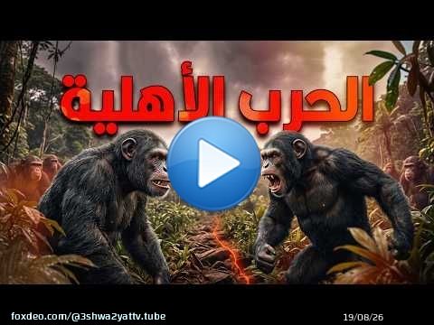 الحرب الأهلية في إمبراطورية الشمبانزي