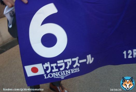 3年前に撮影した親子写真や7年前の海外で撮った写真が日の目を見る時が来ました！ 助さん拡散よろしくお願いいたします #ヴェラアズール #ジャパンカップ #ヤフーニュース