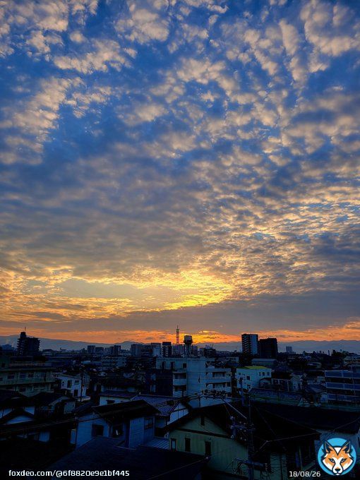 皆さま　大晦日おはようございます 今日も１日よろしくお願いいたします 今朝は曇り空なので昨日の朝方の空の写真です #写真好きな人と繫がりたい  #写真撮ってる人と繫がりたい  #キリトリセカイ #空が好き #photo #photography  #スマホ写真 #大晦日