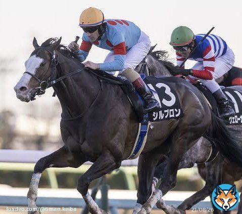 ダイヤモンドステークス G3  \u25ce 2.シルブロン (C.ルメール)  長丁場の鞍上は折り合いの神にお任せするしかないでしょう。 シルブロンも好位から上がりを使えるのでまず馬券から飛ぶイメージはわかず軸はこれしかないです。  #ダイヤモンドステークス #シルブロン