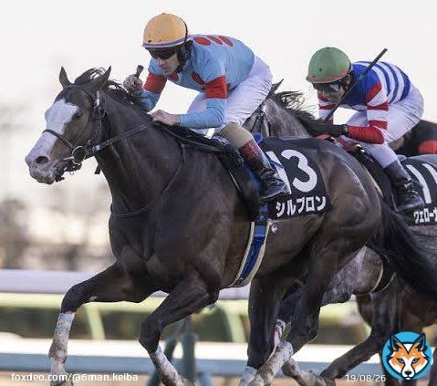 ダイヤモンドステークス G3 \u25ce 2.シルブロン (C.ルメール) 長丁場の鞍上は折り合いの神にお任せするしかないでしょう。 シルブロンも好位から上がりを使えるのでまず馬券から飛ぶイメージはわかず軸はこれしかないです。 #ダイヤモンドステークス #シルブロン