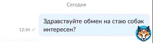 После матча Таджикистан - Россия Валерий Карпин открыл первое попавшееся объявление на Авито