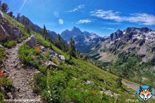 Trail Tuesday  Post a picture you took of a trail you enjoy.   #photooftheday #trails #mountains