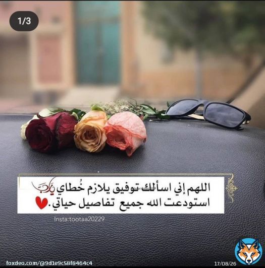 دعواتكم لي غداً لدي إختبار في القرأن #الرخصه_المهنيه #طالبينك_يالشايع_الجوف_عن_بعد #نبيها_منك_يالشايع_الجوف #مرعي_يخاطر_بطلاب_جازان3 #مرعي_يخاطر_بطلاب_جازان2 #جامعة_جدة_تخاطر_بطلابها3 #بالتعليم_تبني_الاوطان #عيالك_يطلبونك_يا_امير_الجوف إذكروني بدعوه