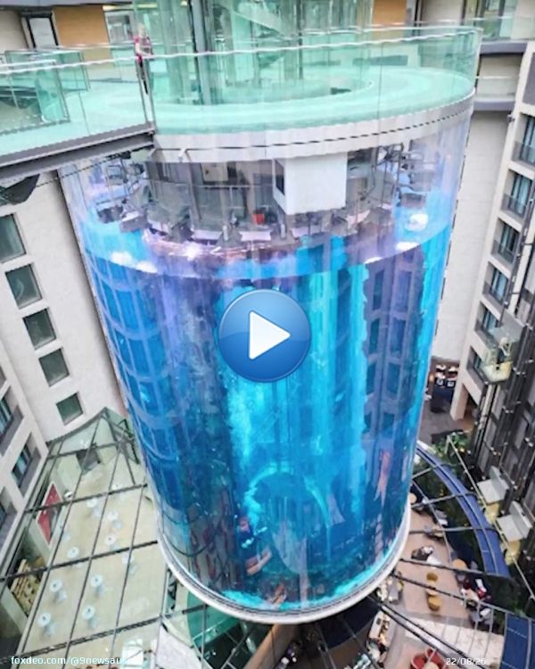A gigantic aquarium in Berlin ruptured, causing thousands of fish and a million litres of water to burst out - sending a wave of debris out of the building. #9News  MORE: