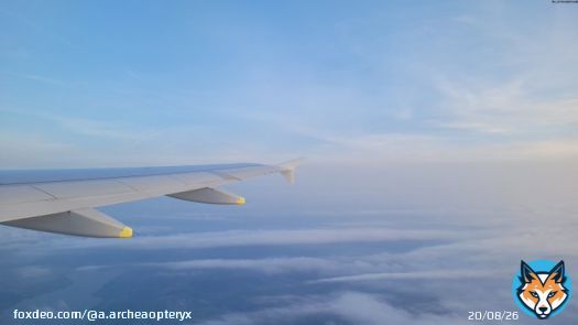 Above the clouds. #clouds #sky #windowseat #airplane #vacation #travel #photography #NaturePhotography #travelphotography