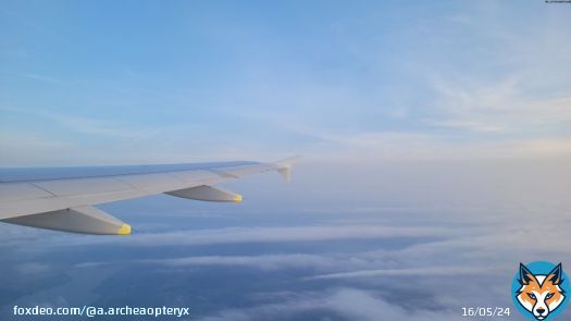 Above the clouds. #clouds #sky #windowseat #airplane #vacation #travel #photography #NaturePhotography #travelphotography