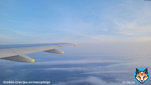 Above the clouds. #clouds #sky #windowseat #airplane #vacation #travel #photography #NaturePhotography #travelphotography