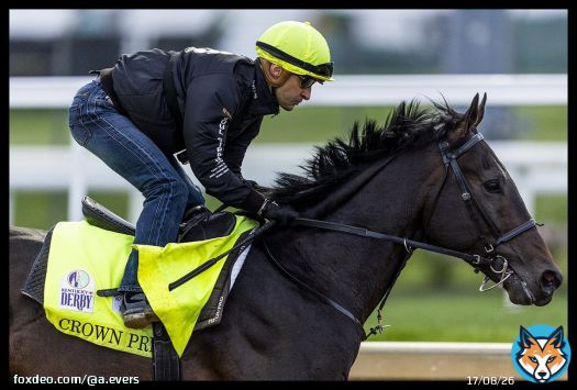 Christophe Lemaire aboard Crown Pride for his blowout work. He looked brilliant through the lens coming around the final turn. #KYDerby #クラウンプライド #ケンタッキーダービー