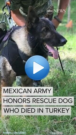 The Mexican army bid an emotional farewell to Proteo, a rescue dog who died while searching for survivors of the earthquake that killed tens of thousands of people in Turkey and Syria.