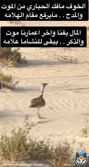 صباح الخير  أيها الأنقياء الأوفياء المحسنين نرفع لكم النداء  المساهمة في #عتق_رقبه_خميس_الشمري بما تجود به أنفسكم  #ردوا_خميس_لامه الراجحي 101608010365250 SA81 8000 0101 6080 1036 5250 #انقذوا_خميس #العشر_lلاواخر #ليله_القدر_خير_من_الف_شهر