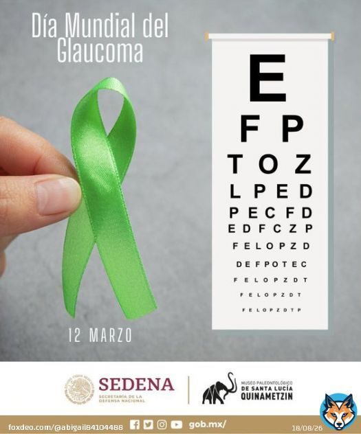 #diamundialdelglaucoma #mamutsantalucia #Zumpango #Edomex