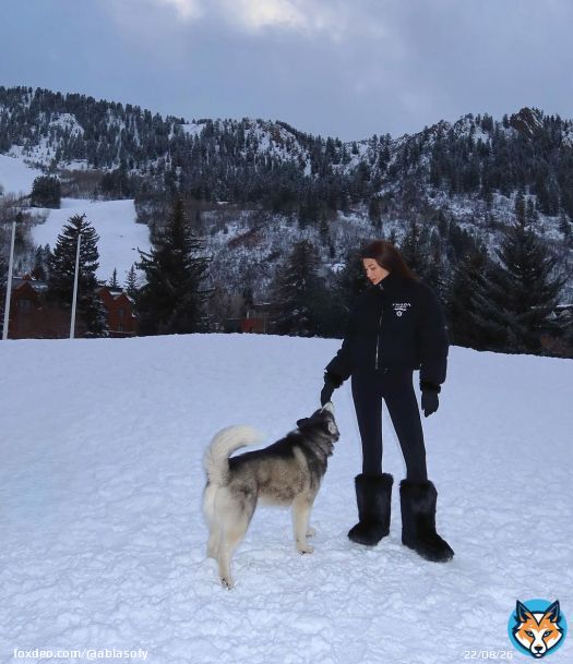 Photo by Abla Sofy \ud83e\udd0d on February 19, 2024. May be an image of 1 person, collie, wolf and snow.