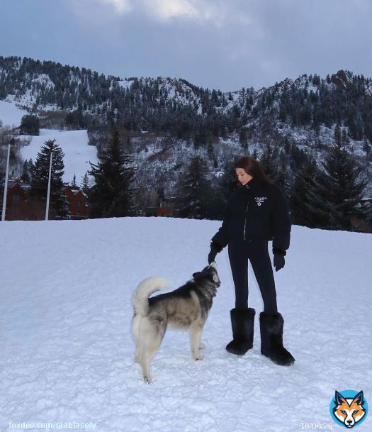 Photo by Abla Sofy \ud83e\udd0d on February 19, 2024. May be an image of 1 person, collie, wolf and snow.