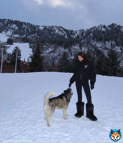 Photo by Abla Sofy \ud83e\udd0d on February 19, 2024. May be an image of 1 person, collie, wolf and snow.