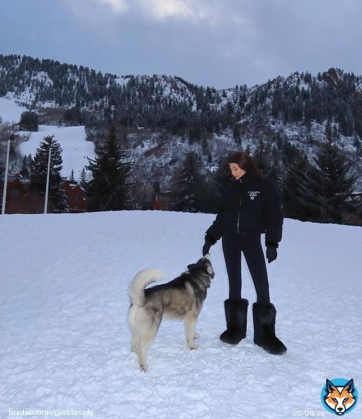 Photo by Abla Sofy \ud83e\udd0d on February 19, 2024. May be an image of 1 person, collie, wolf and snow.