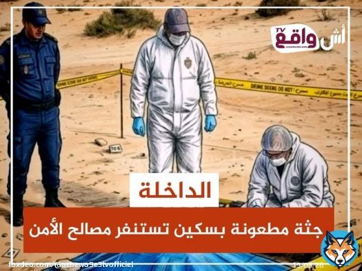 الداخلة : جثة مطعونة بسكين تستنفر مصالح الأمن تفاصيل أكثر …