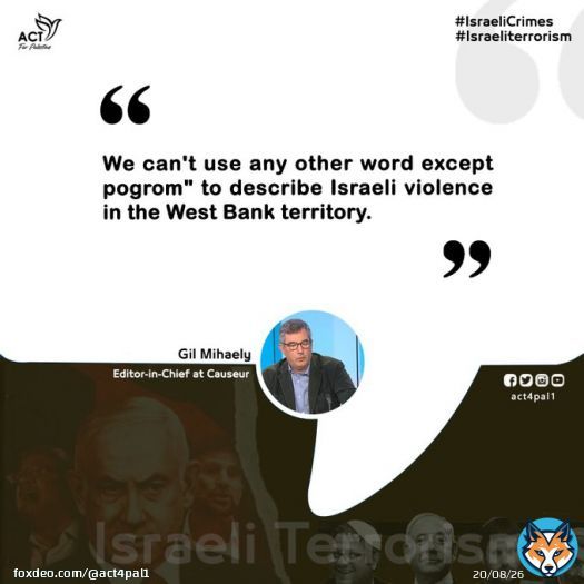 'We can't use any other word except pogrom' to describe #Israeli violence in the #WestBank territory.'  Gil Mihaely, Editor-in-Chief at Causeur #IsraeliTerrorism  #IsraeliApartheid