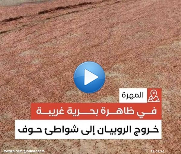 #يحدث_الان ظواهر بحرية غريبة وحديثة  خروج مجموعة دلافين على شواطئ سواحل عمان.   خروج الشارخه على شواطئ سواحل عمان.   خروج الروبيان على شواطئ سواحل اليمن. لا أعلم هل هذه الظواهر بسبب #الزلزال_المدمر ام مؤشرات لحدوث شيئاً ما.  #بداية_نهاية_العالم