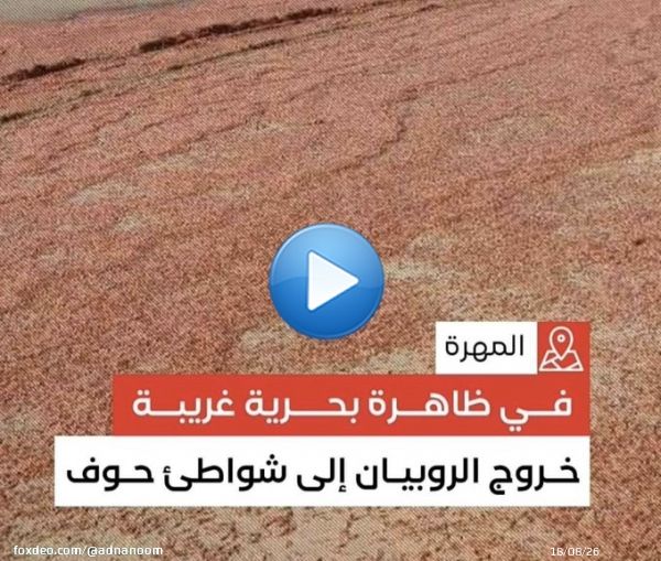 #يحدث_الان ظواهر بحرية غريبة وحديثة  خروج مجموعة دلافين على شواطئ سواحل عمان.   خروج الشارخه على شواطئ سواحل عمان.   خروج الروبيان على شواطئ سواحل اليمن. لا أعلم هل هذه الظواهر بسبب #الزلزال_المدمر ام مؤشرات لحدوث شيئاً ما.  #بداية_نهاية_العالم