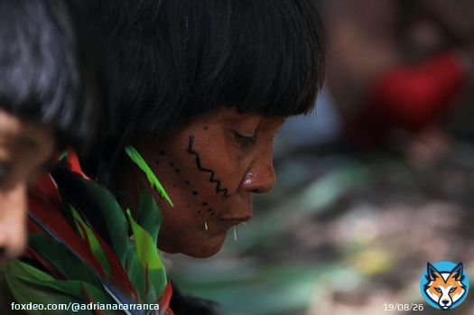 Sobre a trag&eacute;dia humanit&aacute;ria em Terra Yanomami, vale lembrar: