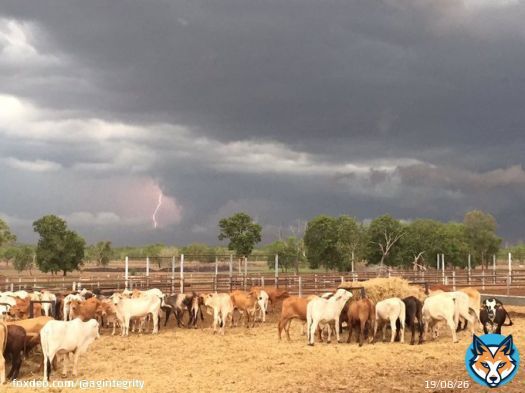 ... it's the seeding, weeding, feeding, breeding, tilling, plowing + planting ... Happy #AgDayAUto everyone working in & supporting the Aus Ag sector @afsnsw @NationalFarmers @tonymahar @annbritton @troysetter @AgForceQLD @GeorgieSomerset @Warrabboy @NTCattlemen @pipcourtney