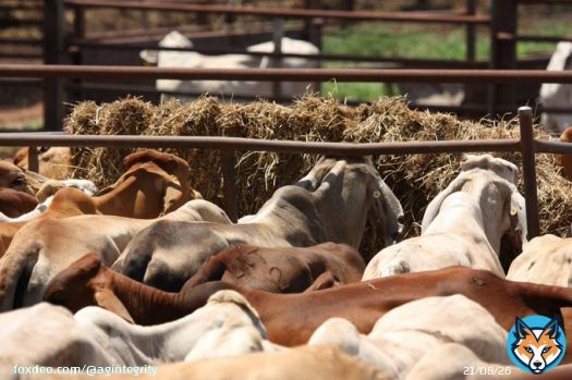 Happy #AgDayAU   Amelia Barr&rsquo;s poem, The #Farmer  The farmer&rsquo;s trade is one of worth; He&rsquo;s partner with the sky & earth He&rsquo;s partner with the sun & rain And no man loses for his gain And men may rise, or men may fall But the farmer he must feed them all  @NationalFarmers @afsnsw