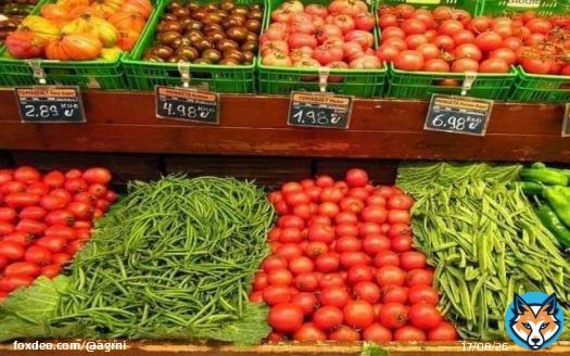 جريدة'إلباييس'الإسبانية: #مخطط_المغرب_الأخضر تم تنزيله باموال دافعي الضرائب ليجني أرباحه المعفيين من الضرائب... بعد مرور عشر سنوات، بين سنتي 2012 و 2022، \ud83d\udd34 انتقلت صادرات الخضر المغربية من أجود الأنواع نحو إسبانيا من 130 ألف طن إلى 496 ألف ألف طن \ud83d\udd34 ارتفعت الصادرات من الفواكه من 17 ألف طن إلى 238 ألف طن \ud83d\udd34 الطماطم من 19 ألف طن إلى 80 ألف طن \ud83d\udd34الفلفل من 21 إلى 74 ألف طن \ud83d\udd34 Â“الآفوكاÂ” من 650 طن إلى 18 ألف طن \ud83d\udd34البرتقال من ألفي طن إلى 10 آلاف و500 طن \ud83d\udd34البطيخ من 435 طن إلى 122 ألف طن \ud83d\udd34الفراولة من 3 آلاف إلى 8 آلاف طن \ud83d\udd34 التوت من 300 إلى 32 ألف طن. \ud83d\udd34 نحو بلدان الاتحاد الأوربي ارت�