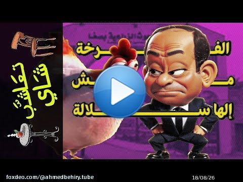 {تعاشب شاي}(1649) الفرخة مش إلها سلالة