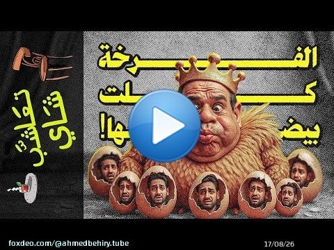 {تعاشب شاي}(2327) الفرخة كلت بيضها!