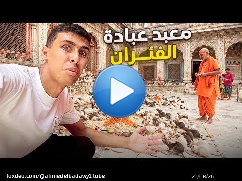 زورت معبد عبدة الفئران في الهند و أكتشفت الحقيقة الو*خة \ud83e\udd2e\ud83c\uddee\ud83c\uddf3