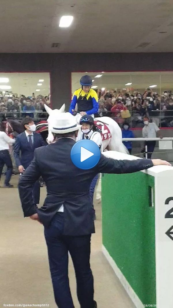府中牝馬ステークス、ソダシは惜しくも２着 それでも直線でしぶとく頑張りました  吉田隼人騎手は「イメージよりレースが流れたのが誤算でした。でも、この距離でも頑張りました。次が本番なので切り替えたい」と話しました  また次走に期待しましょう  #府中牝馬Ｓ #ソダシ #吉田隼人