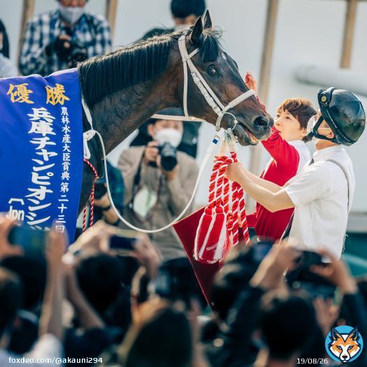 おめでとうございます! 3年ぶりにファンを入れての開催でした 2022/5/4 園田競馬場 #ブリッツファング &times; #池添謙一 騎手 #兵庫チャンピオンシップ