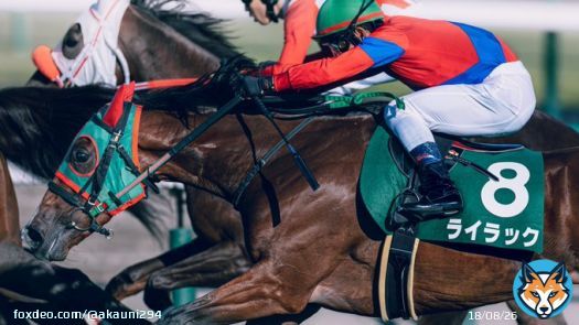何時もながら前傾姿勢での追い込み、かっこ良かった。 2022/9/10 中山競馬場 #ライラック &times; #戸崎圭太 騎手 #紫苑ステークス