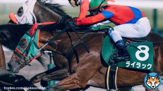 何時もながら前傾姿勢での追い込み、かっこ良かった。 2022/9/10 中山競馬場 #ライラック &times; #戸崎圭太 騎手 #紫苑ステークス