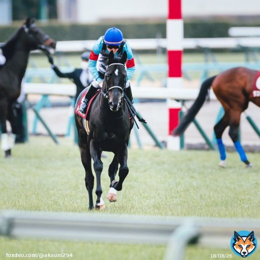 ギラギラしててめっちゃ格好良かった 2023/3/5 中山競馬場 #トップナイフ &times; #横山典弘 騎手 #弥生賞