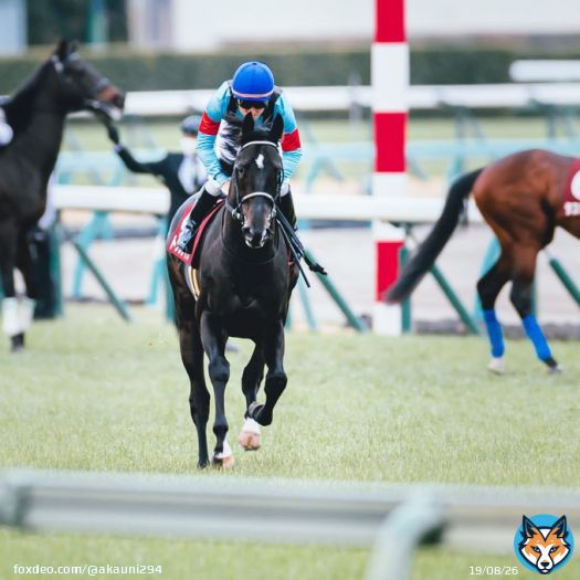 ギラギラしててめっちゃ格好良かった 2023/3/5 中山競馬場 #トップナイフ &times; #横山典弘 騎手 #弥生賞