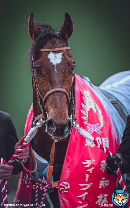 父が叶わなかったクラシック制覇へ 2023/3/5 中山競馬場 #タスティエーラ #弥生賞
