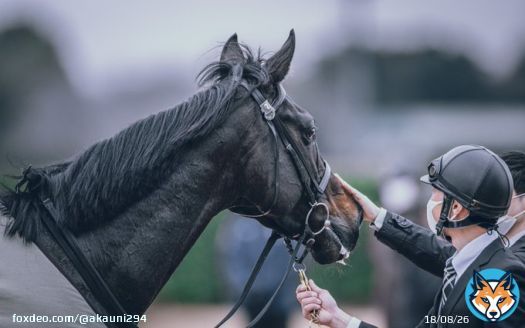 久しぶりのレースお疲れさまでした。 2023/3/5 中山競馬場 #ゴッドファーザー #弥生賞
