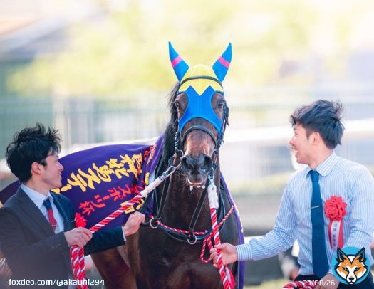 風が強くてマントみたい笑 おめでとう！ 2023/4/8 阪神競馬場 #サウンドビバーチェ #阪神牝馬ステークス