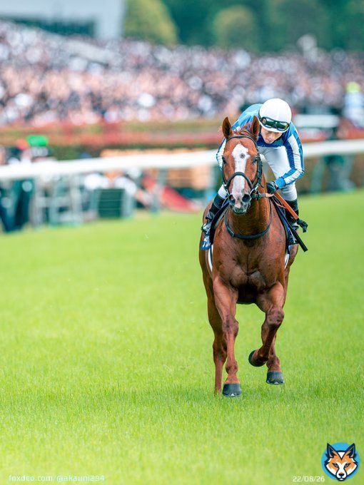 ナランフレグ &times; 丸田恭介 騎手 2023/6/4 安田記念