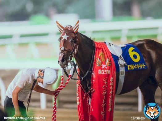 おめでとう！ もう言葉が見つからないよ。 2023/7/12 大井競馬場 #ミックファイア #ジャパンダートダービー