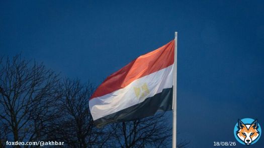 تحدث الرئيس المصري عبد الفتاح السيسي عن فيلم وثائقي أنتجته الدولة يوثق فظائع كبيرة ارتكبها الإرهابيون خلال السنوات من عام 2011 إلى ما بعد ثورة يونيو من العام 2013.  #مصر
