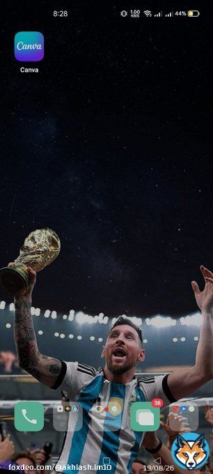 Let's see Ronaldo's world cup